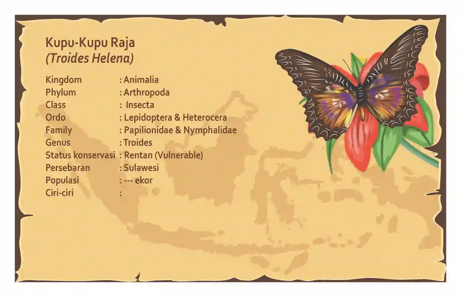 Wallacea Expedition Route (book) mockup 10
