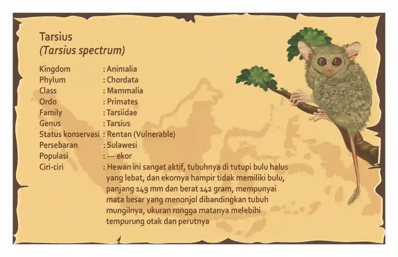 Wallacea Expedition Route (book) mockup 11